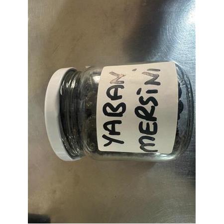 KURUTULMUŞ YABAN MERSİNİ 210GR