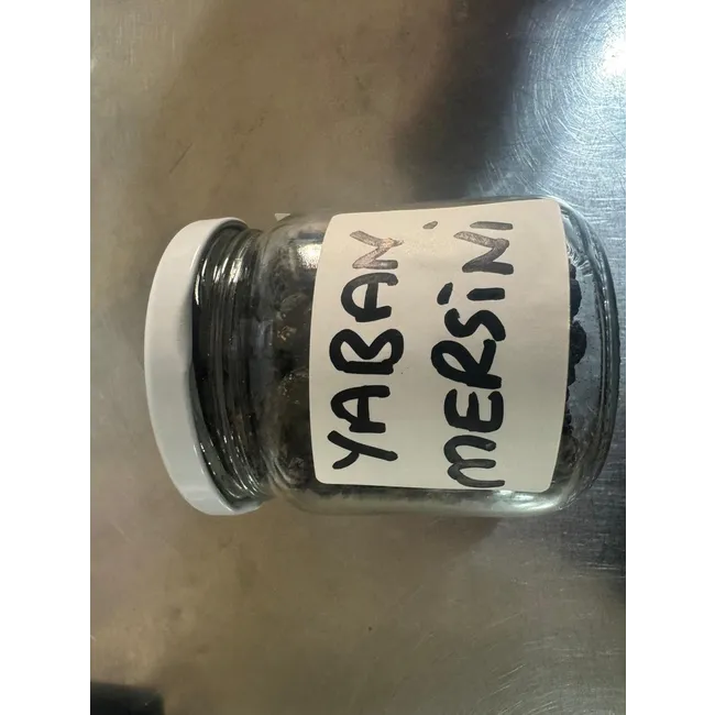 KURUTULMUŞ YABAN MERSİNİ 210GR