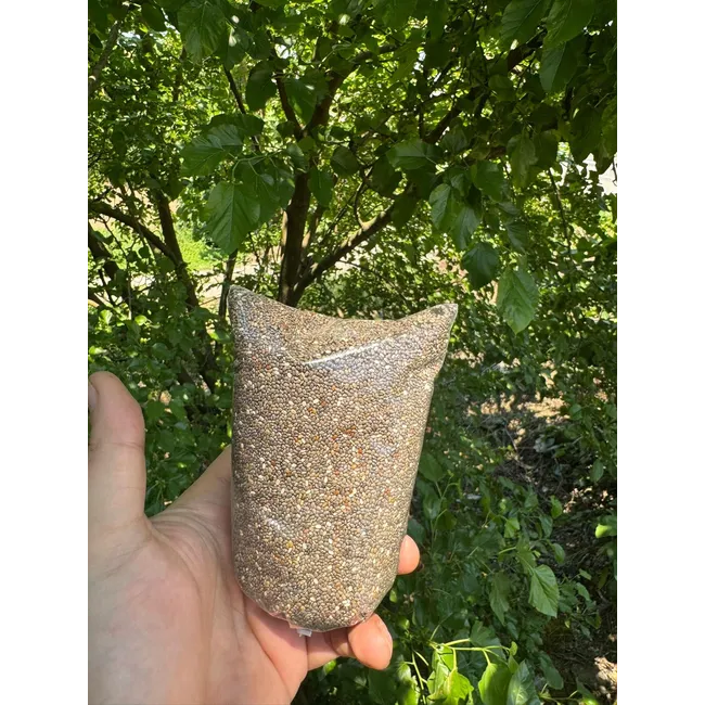 CHİA TOHUMU 100GR