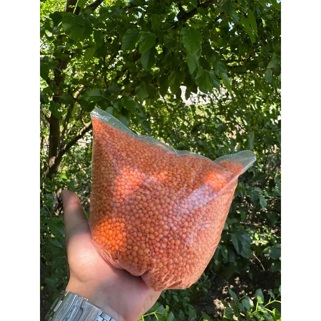 KIRMIZI MERCİMEK 1KG