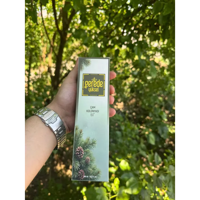 TARİŞ ÇAM KOLONYASI