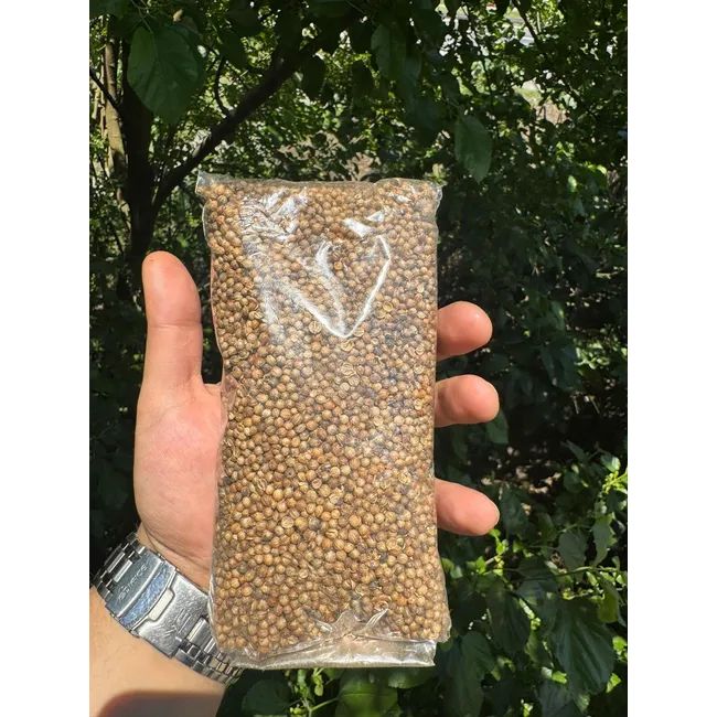 KİŞNİŞ 100GR